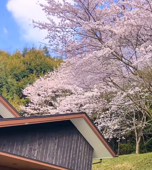 住宅 外観写真