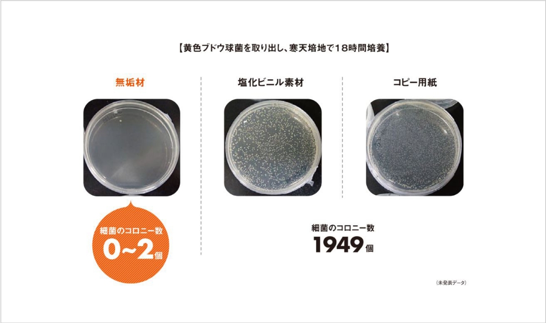 黄色ブドウ球菌を取り出し、寒天培地で18時間培養