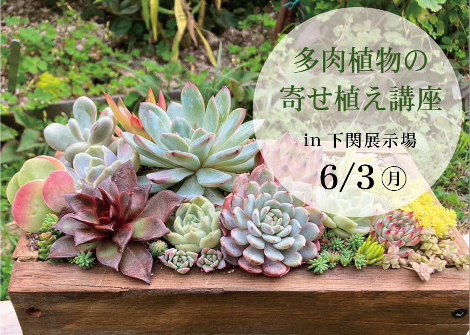 多肉植物の寄せ植え講座＠下関展示場