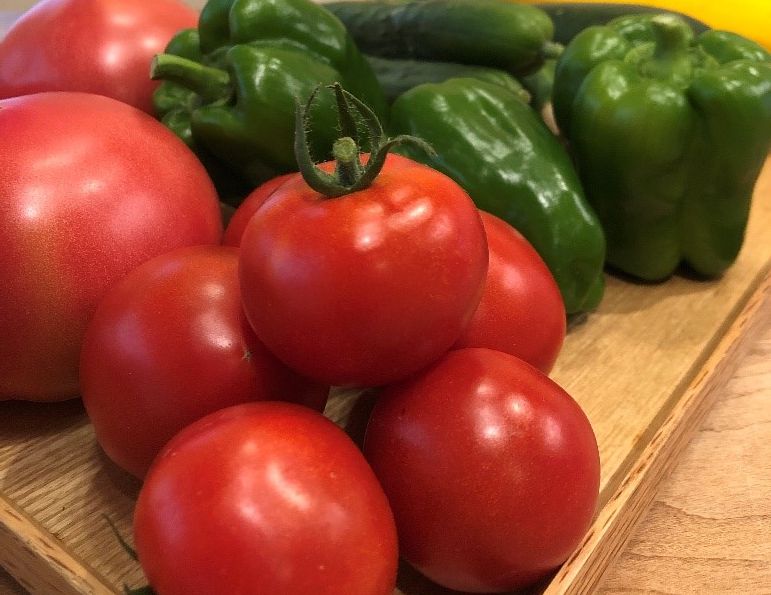 【山口】夏野菜収穫！