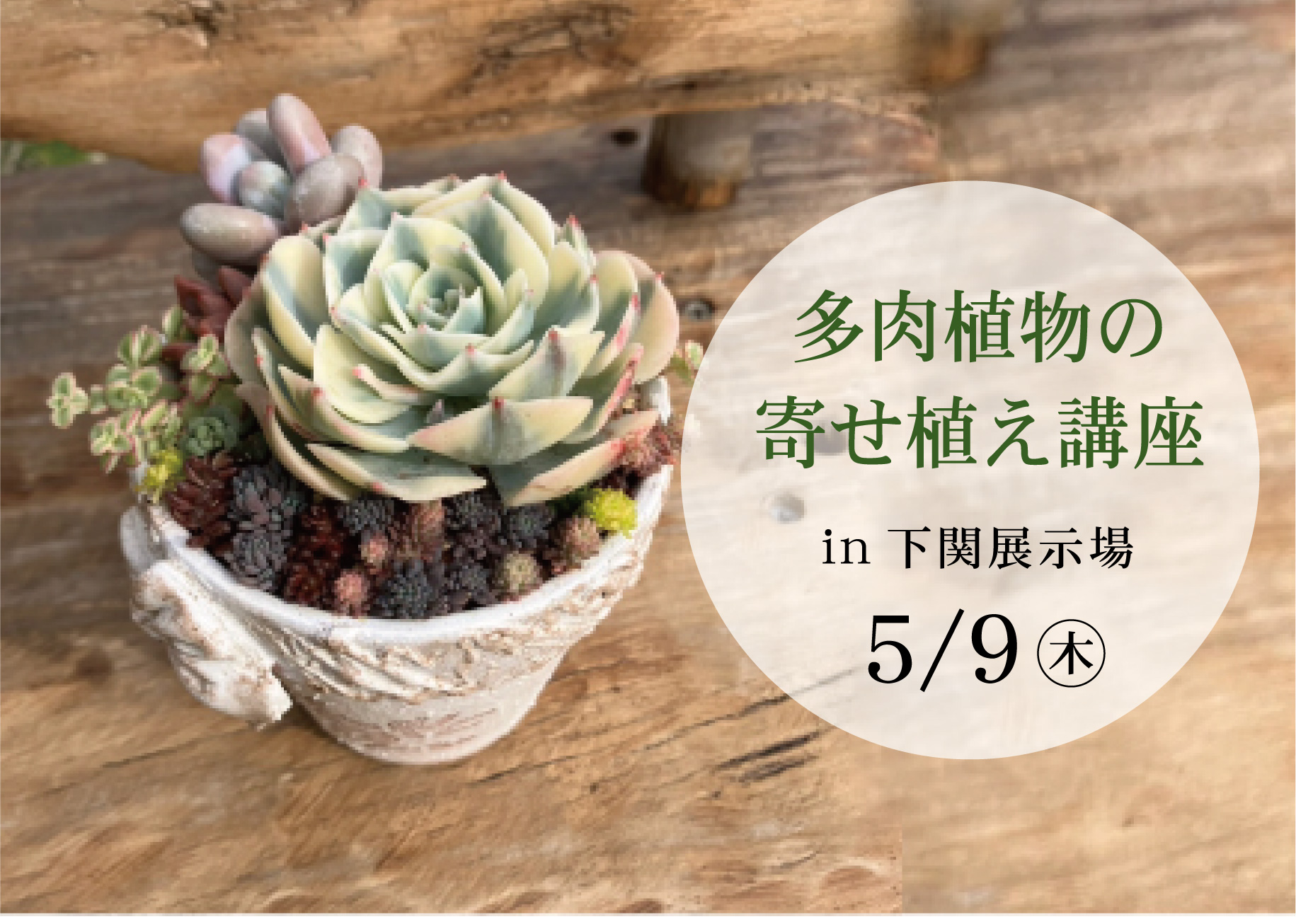 多肉植物の寄せ植え講座＠下関展示場