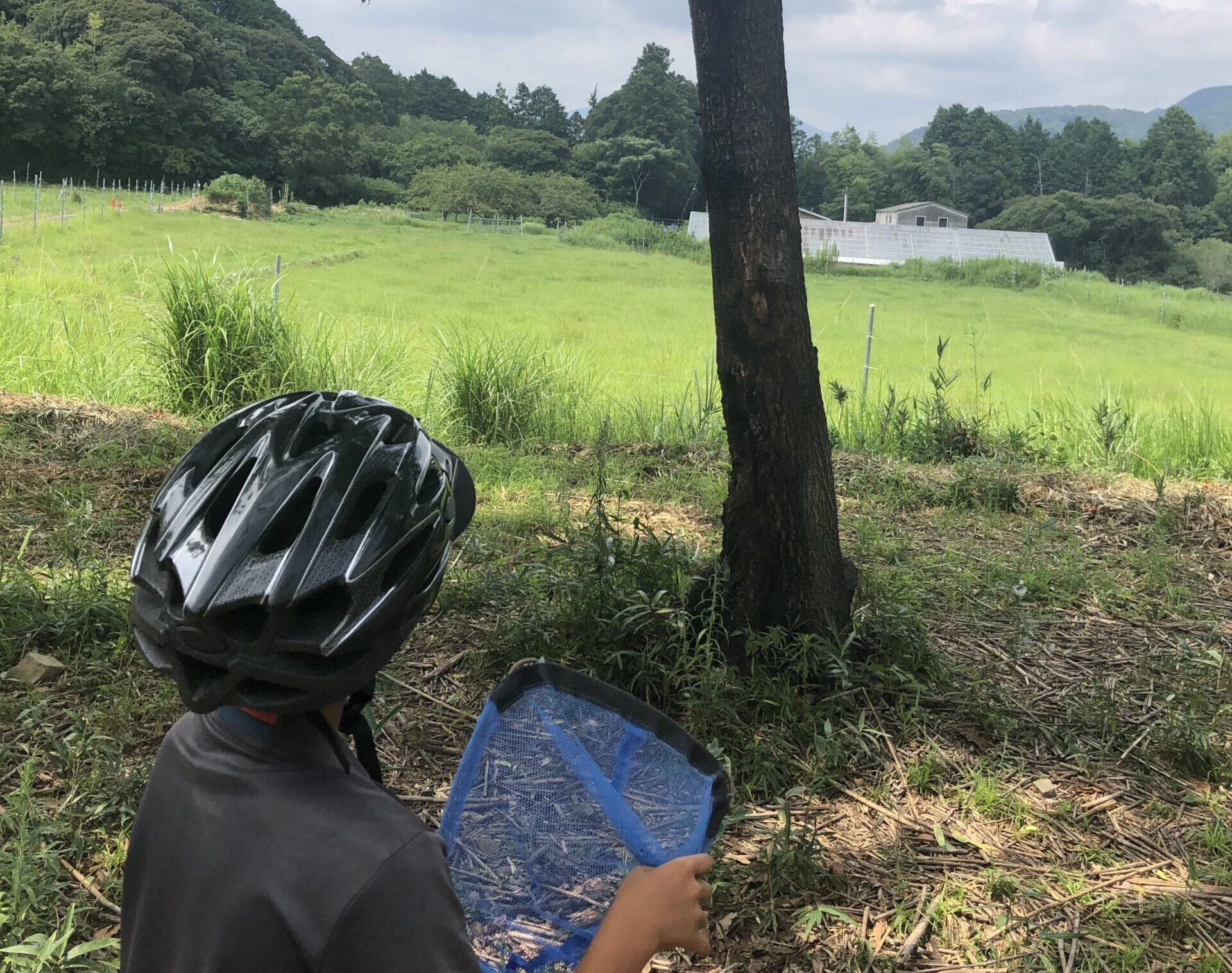 【北九州】我が家のペット