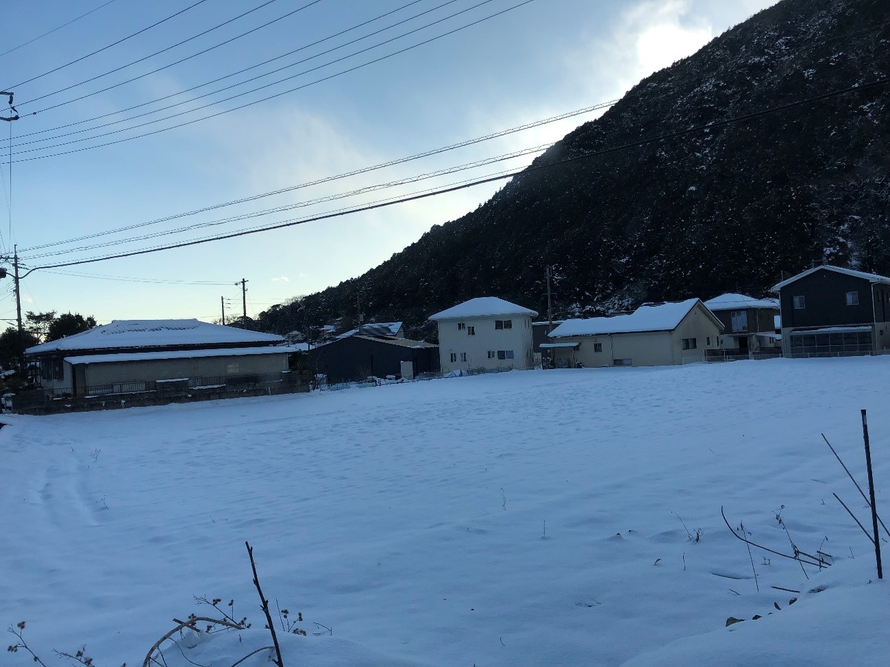 【山口】寒さの中で