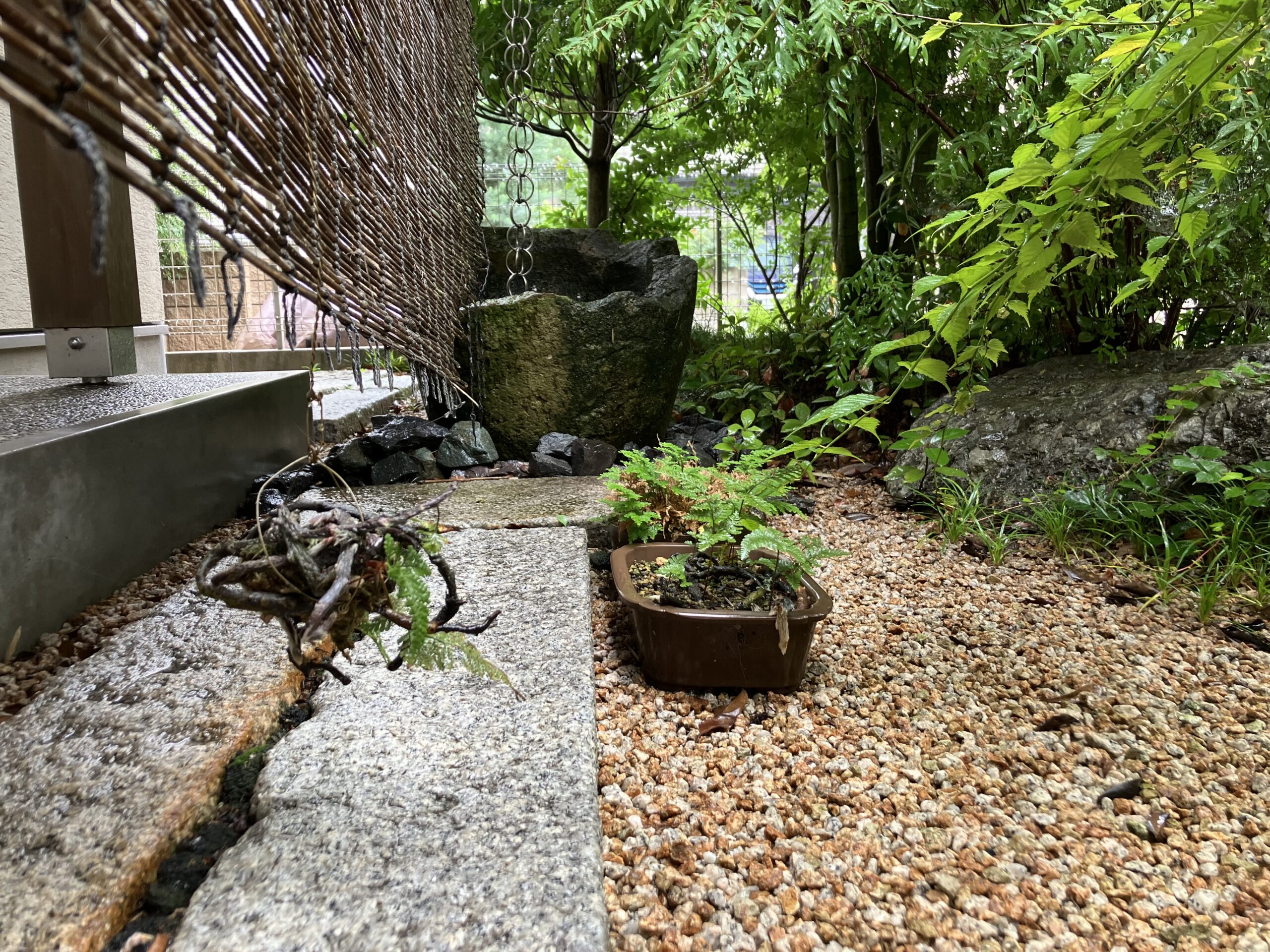 【山口・宇部】雨は嫌い・・・でもない？