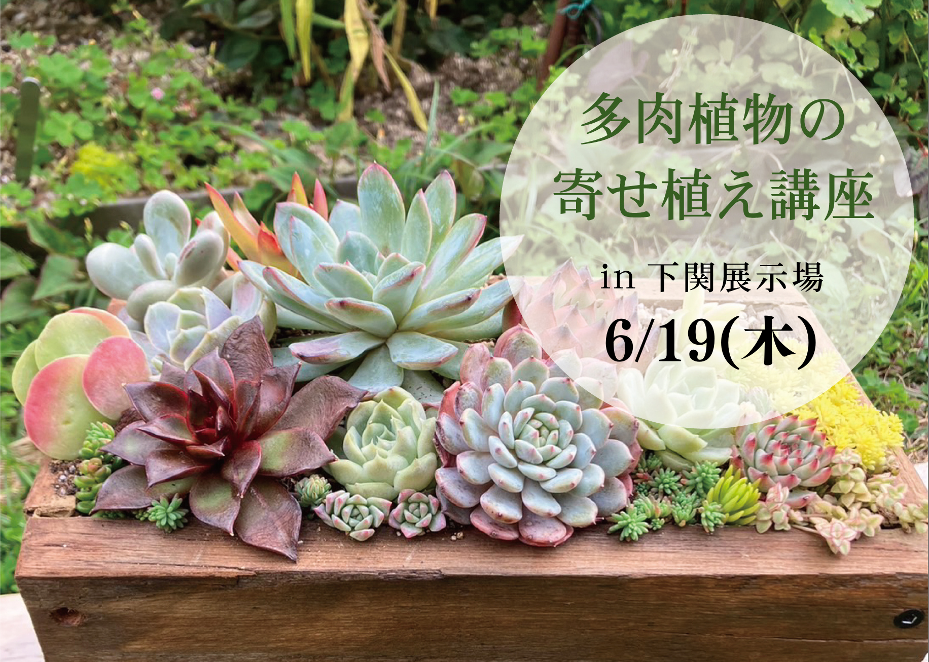 多肉植物寄せ植え講座＠下関展示場