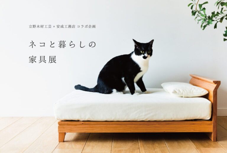 ネコと暮らしの家具展@山口支店「nenrie」//3/4(土)~12(日)