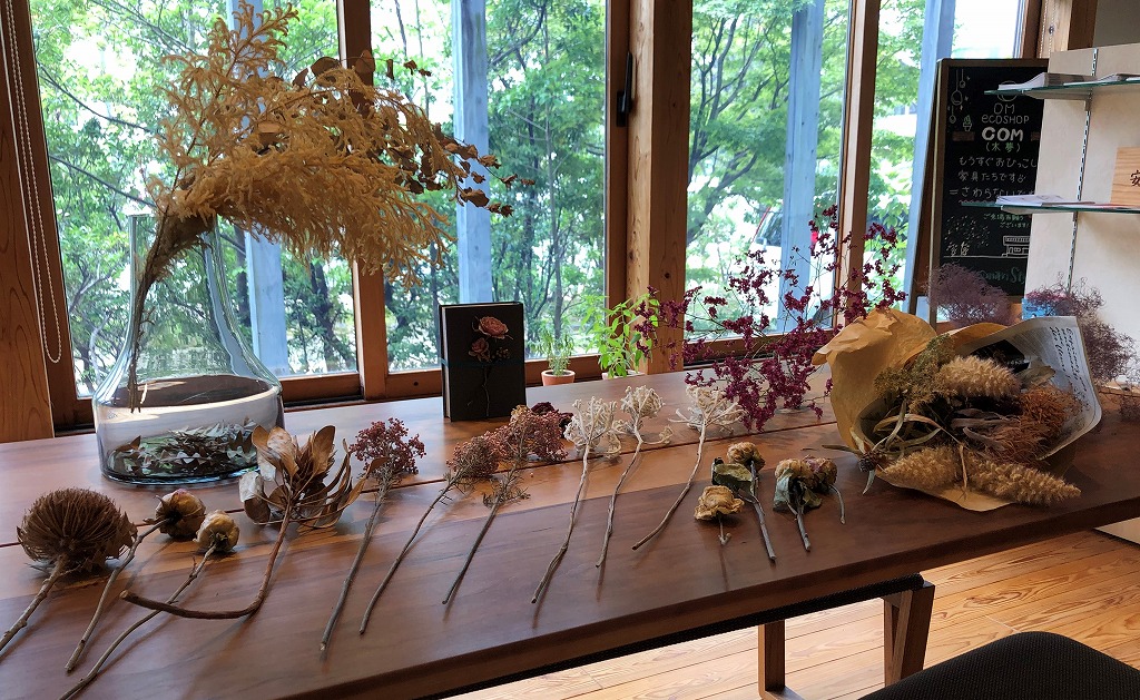 【北九州】木の家づくり展示館と植物