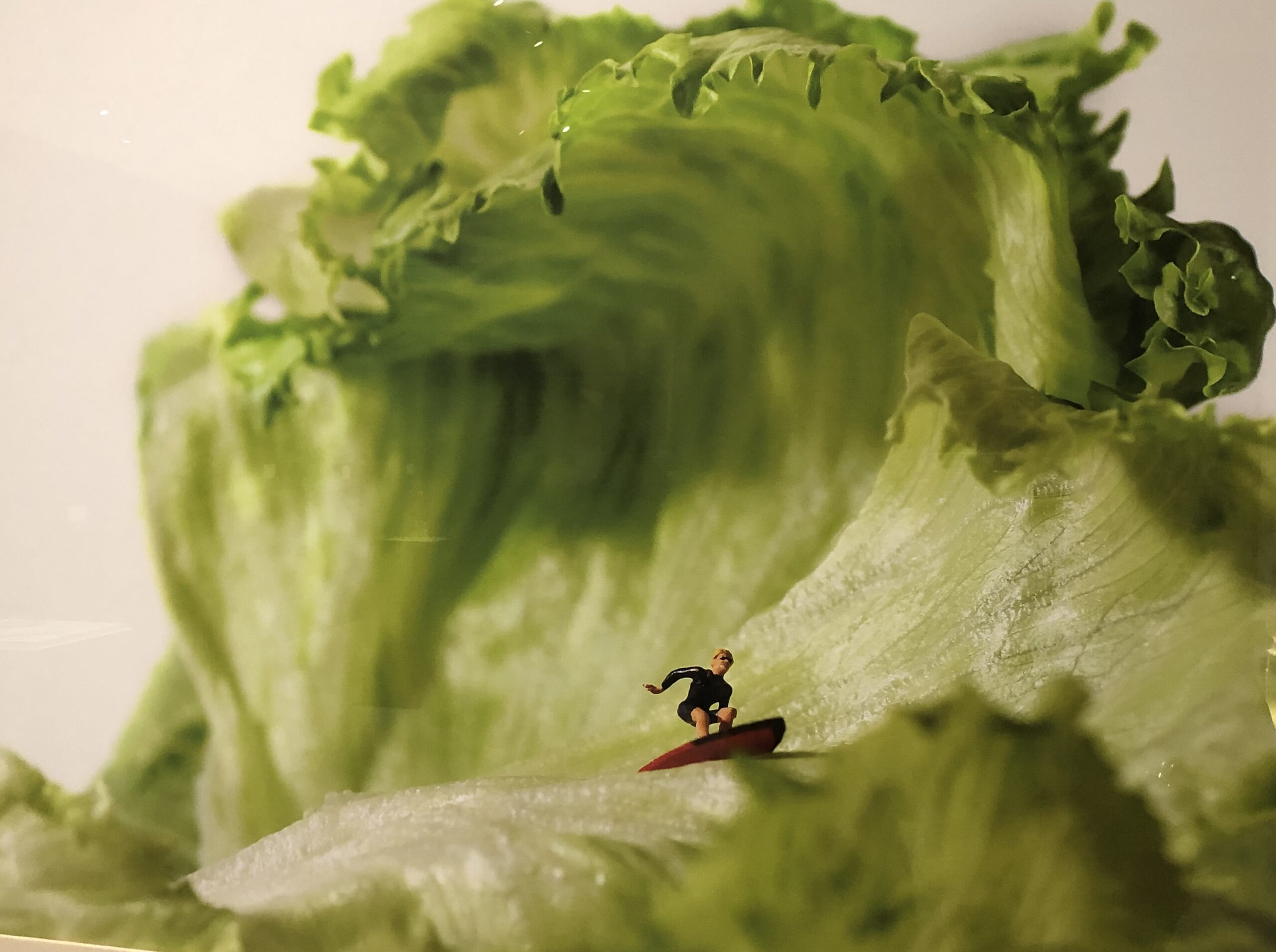 【福岡】MINIATURE LIFE展 （田中達也 見立ての世界）