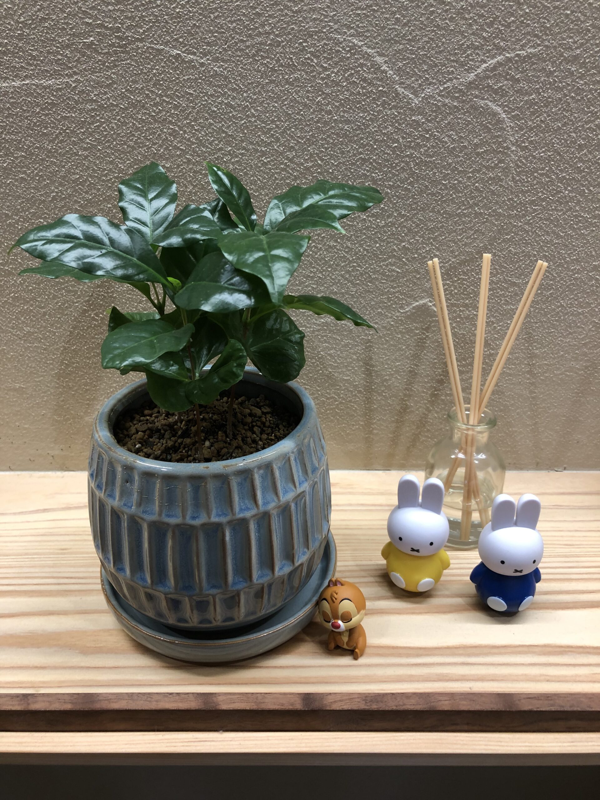 【山口】おうち時間の楽しみ