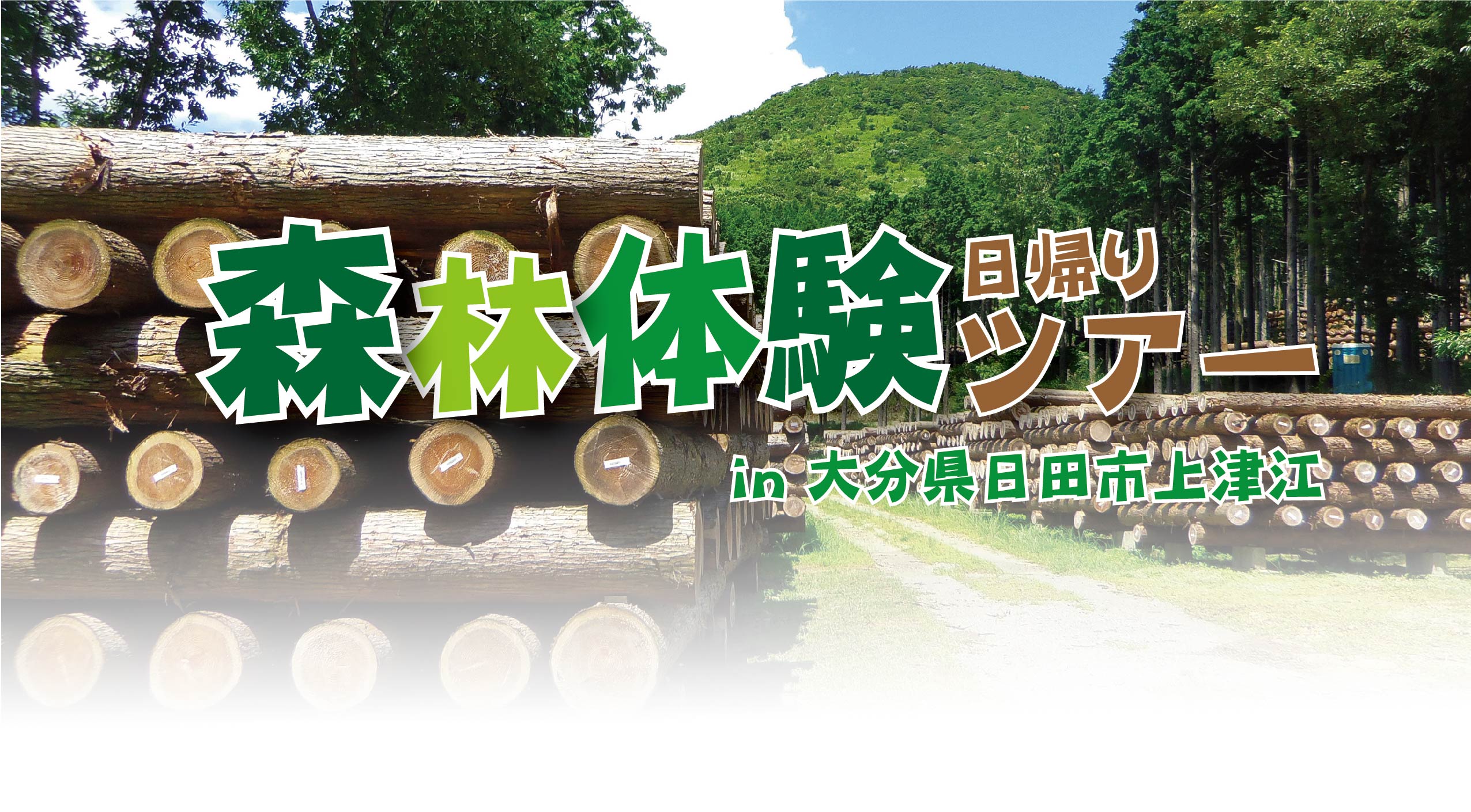 春の森林体験ツアー＠日田市上津江//5/14(日)