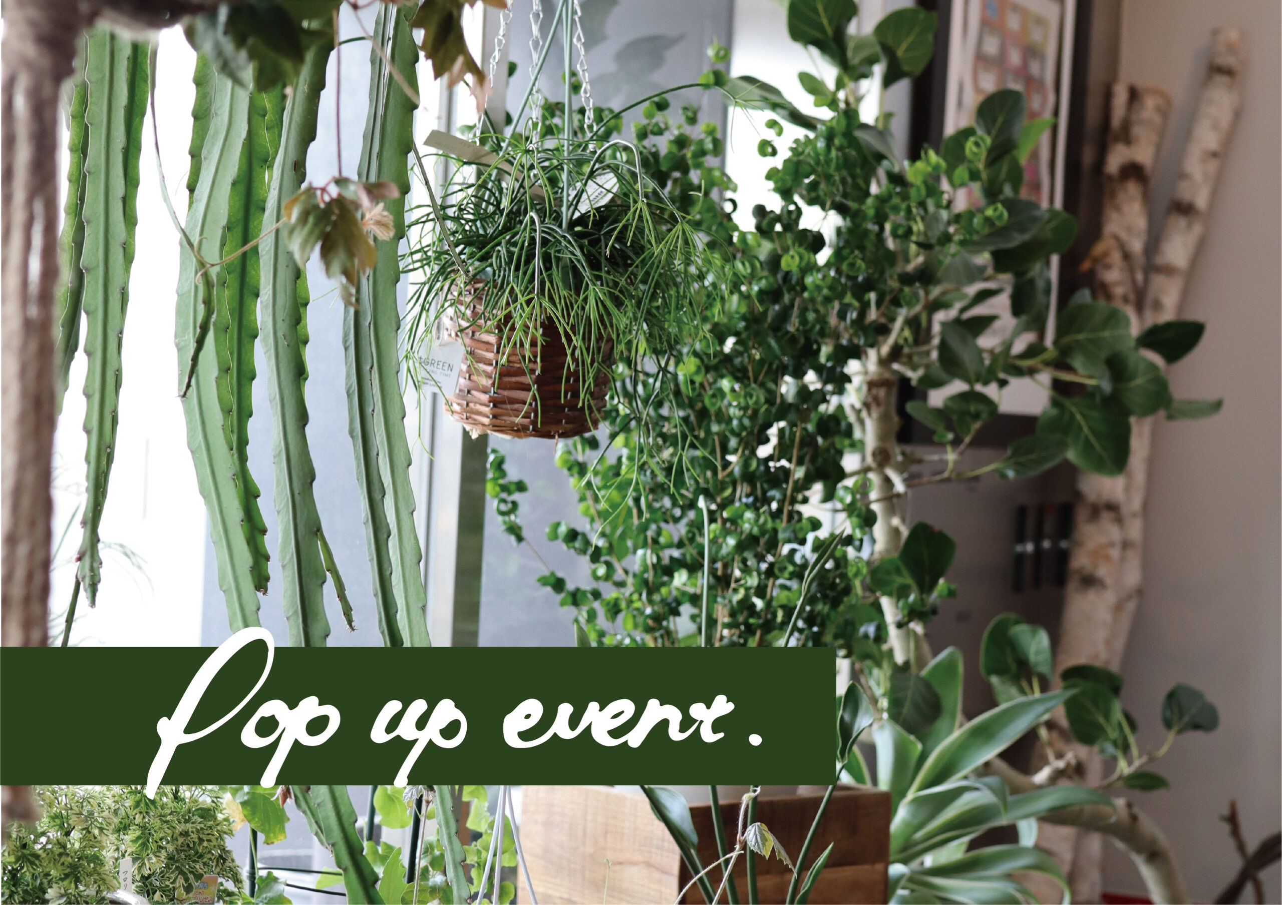 POP-UP EVENT ～出張フラワーショップ～＠山口支店「nenrie」