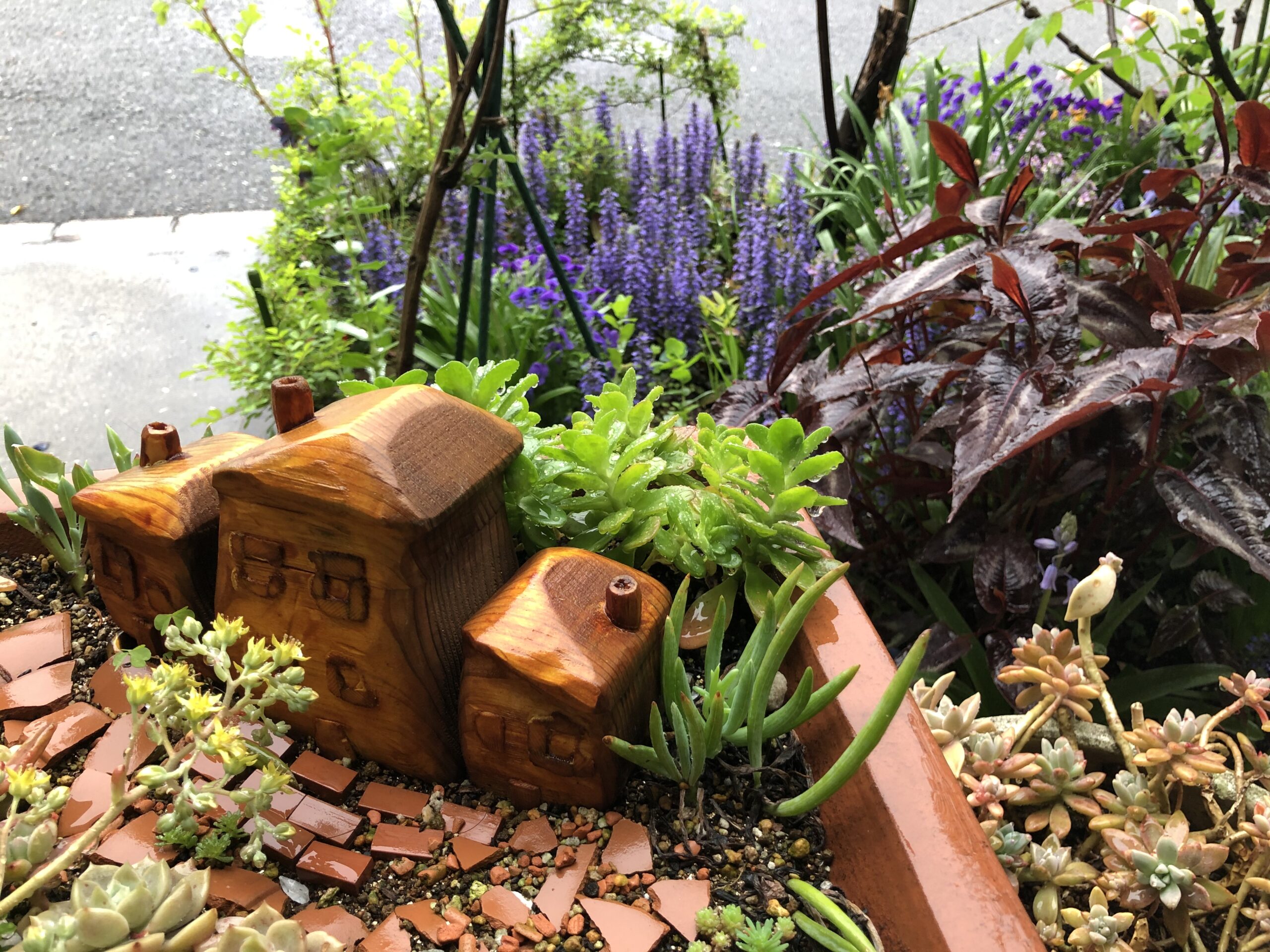 【下関】癒しの植物たち