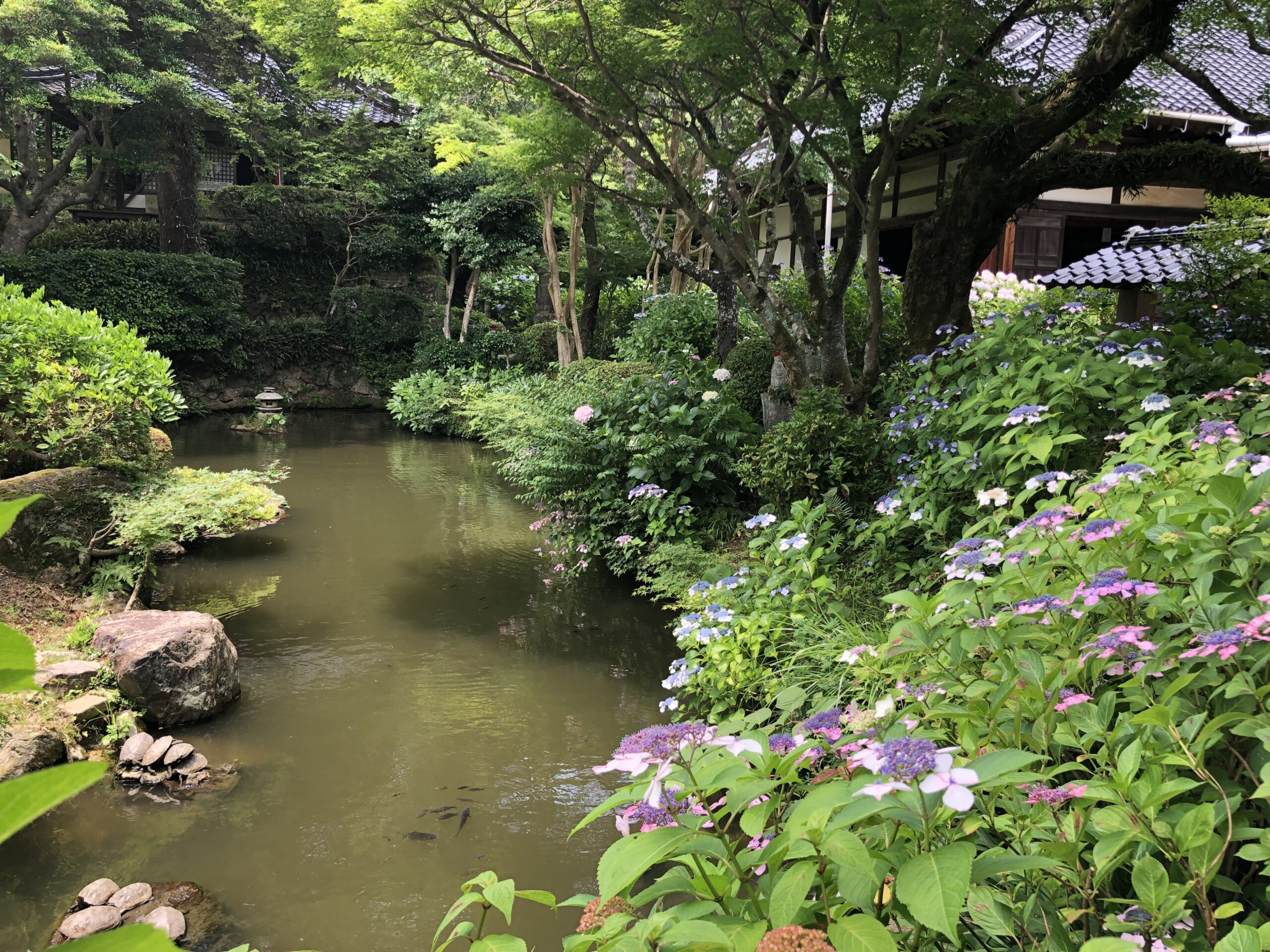 【周南】東大寺別院阿弥陀寺