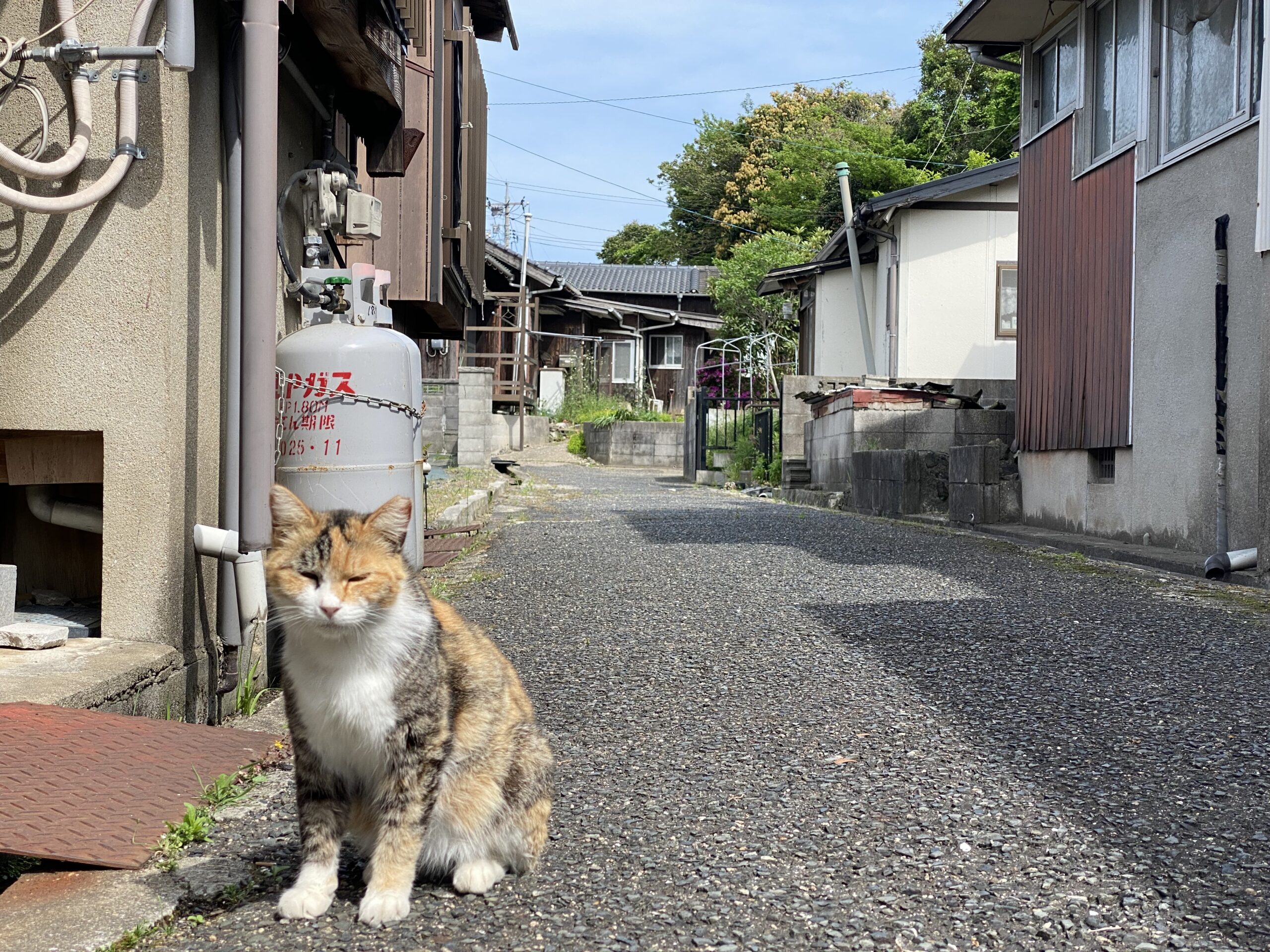 土地散歩【宇部市東須恵】