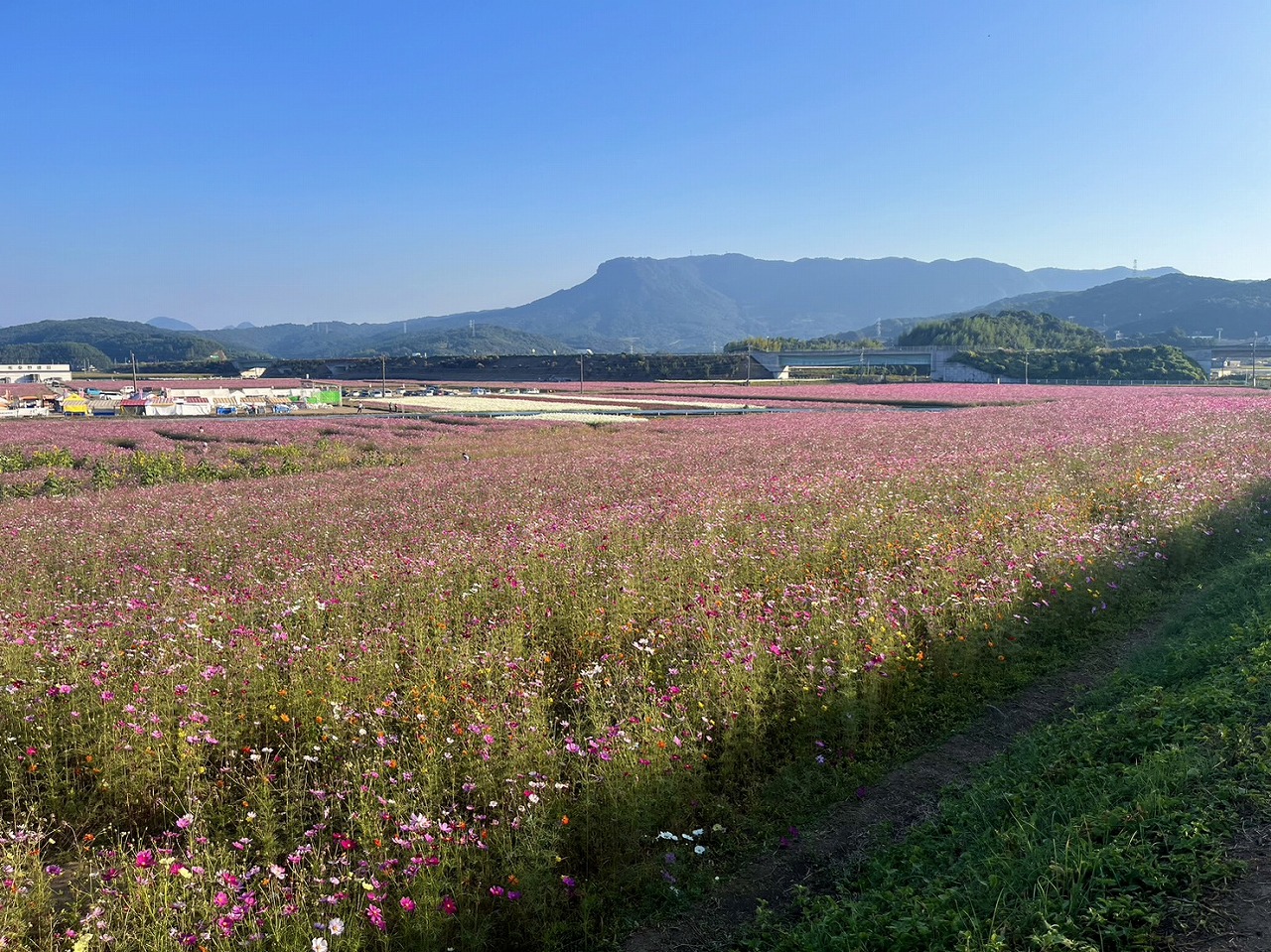 【山口】10月のお散歩