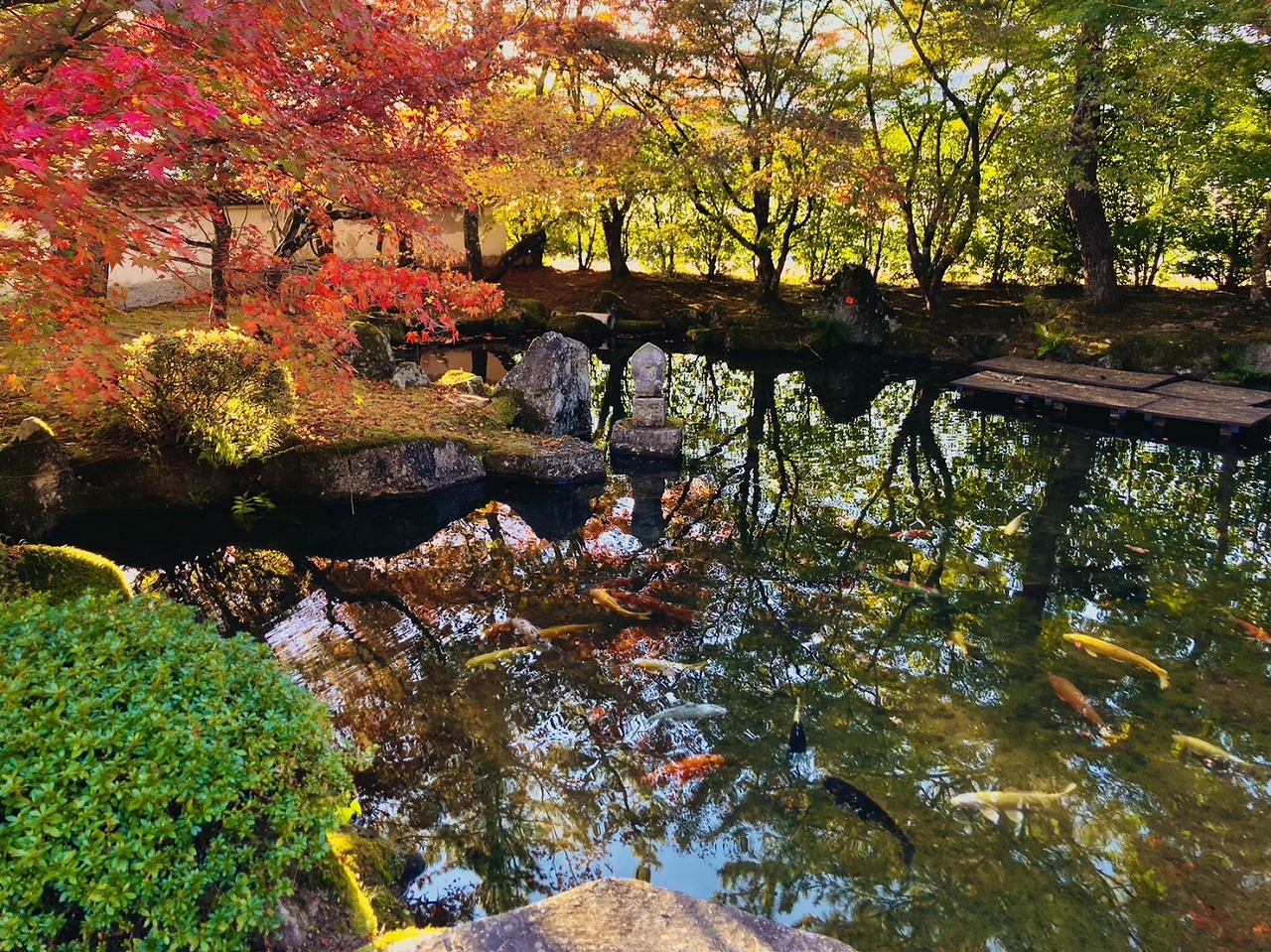 【設計センター】漢陽寺の紅葉