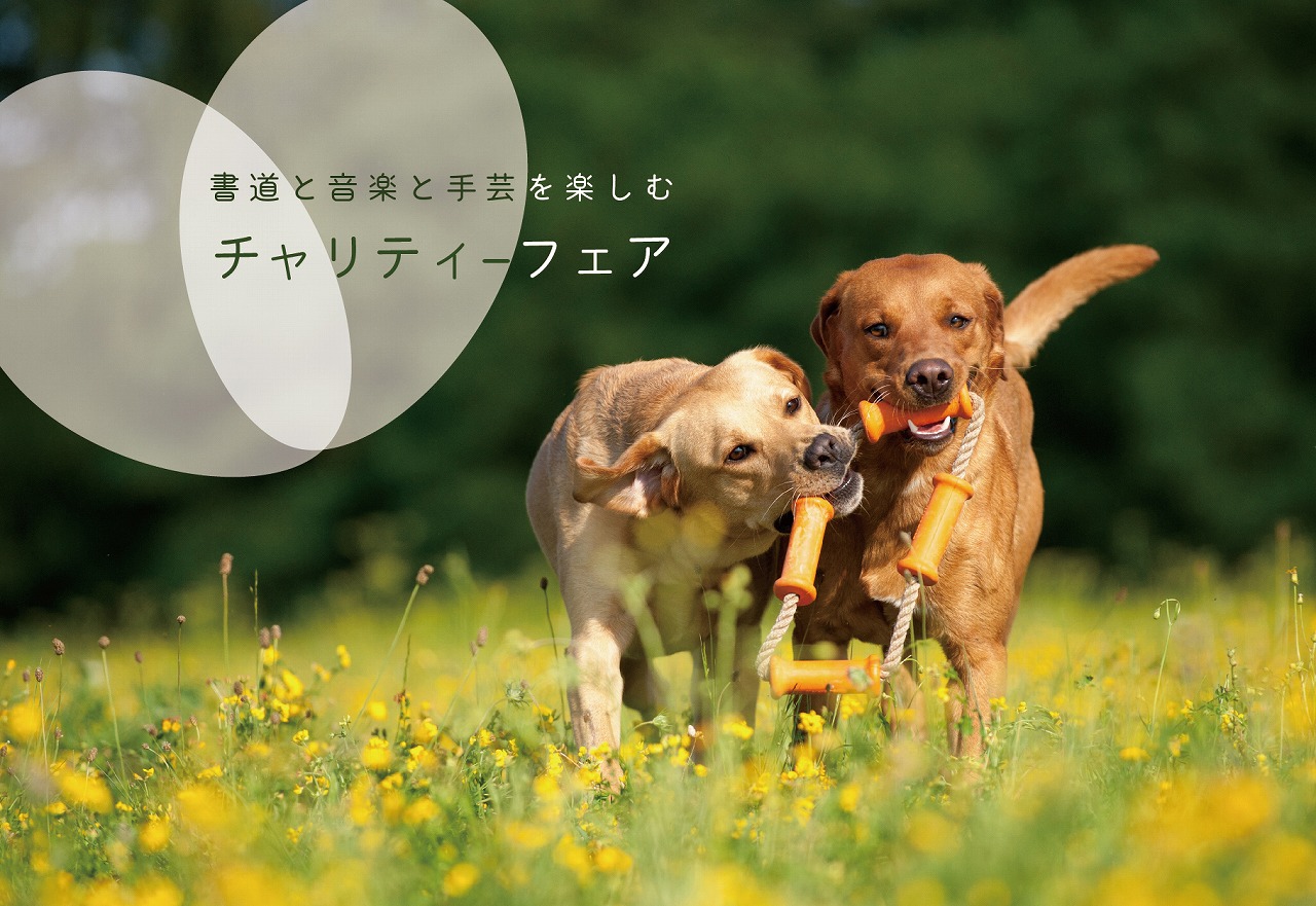 ～芸術の秋～チャリティーフェア＠北九州展示場「香りの家」