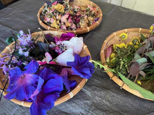 【北九州】初めてのバンドルダイ⚘
