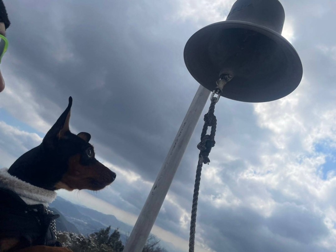 【下関】自然と愛犬