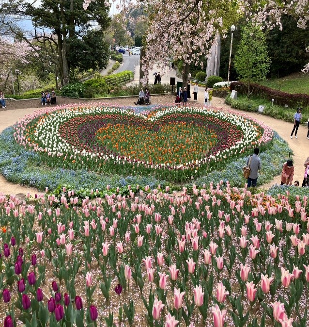 【下関】トルコチューリップ園