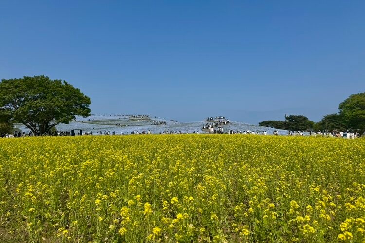 【周南】茨城旅行