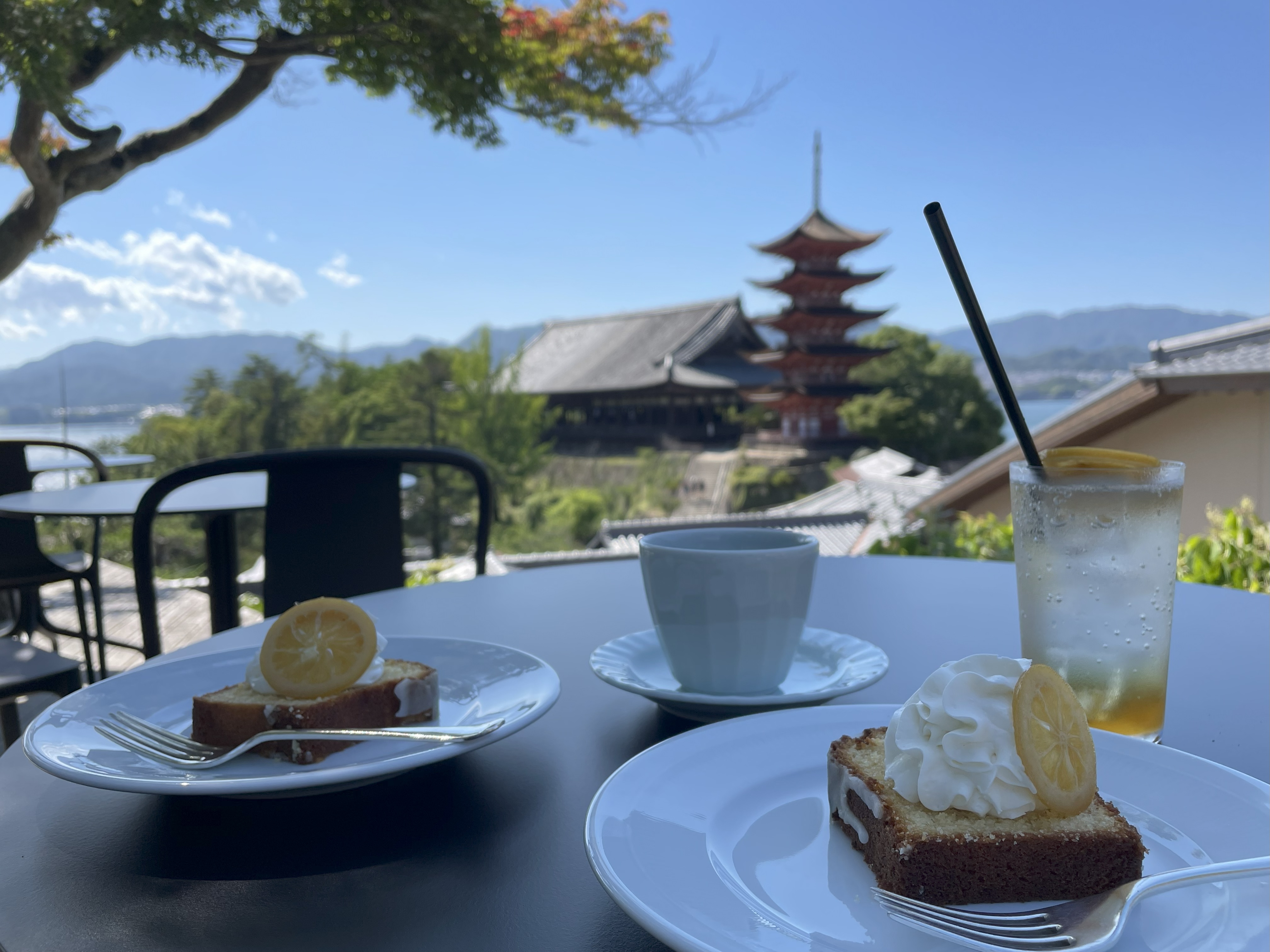 【山口・宇部支店】宮島へ
