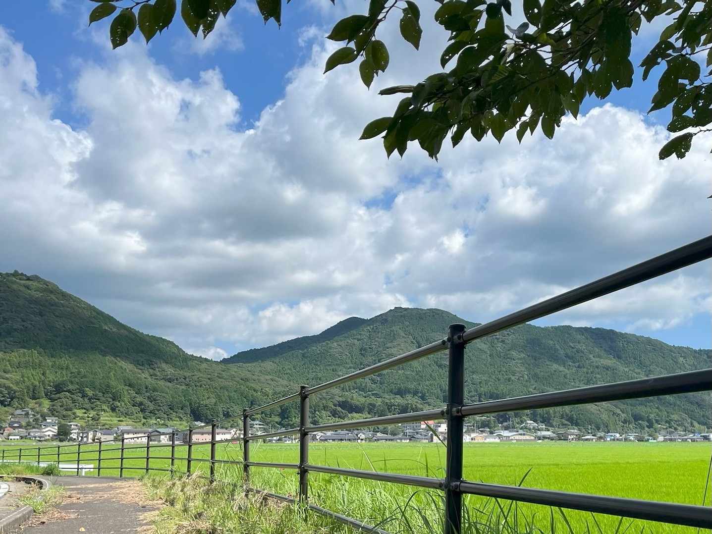 【福岡支店】自己紹介