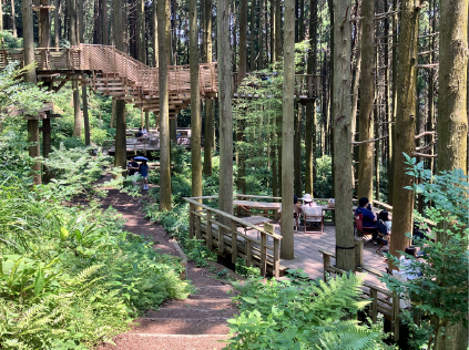 【福岡】糸島市の魅力