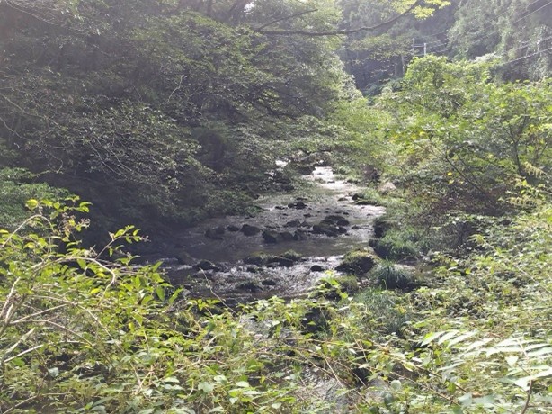 【山口・宇部】長門峡
