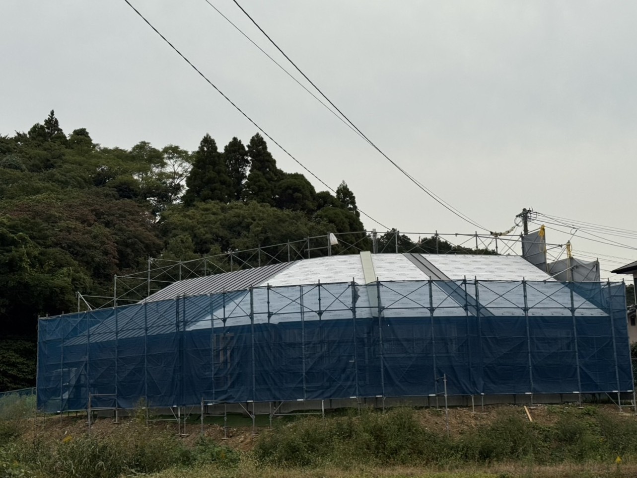 ギャラリー画像