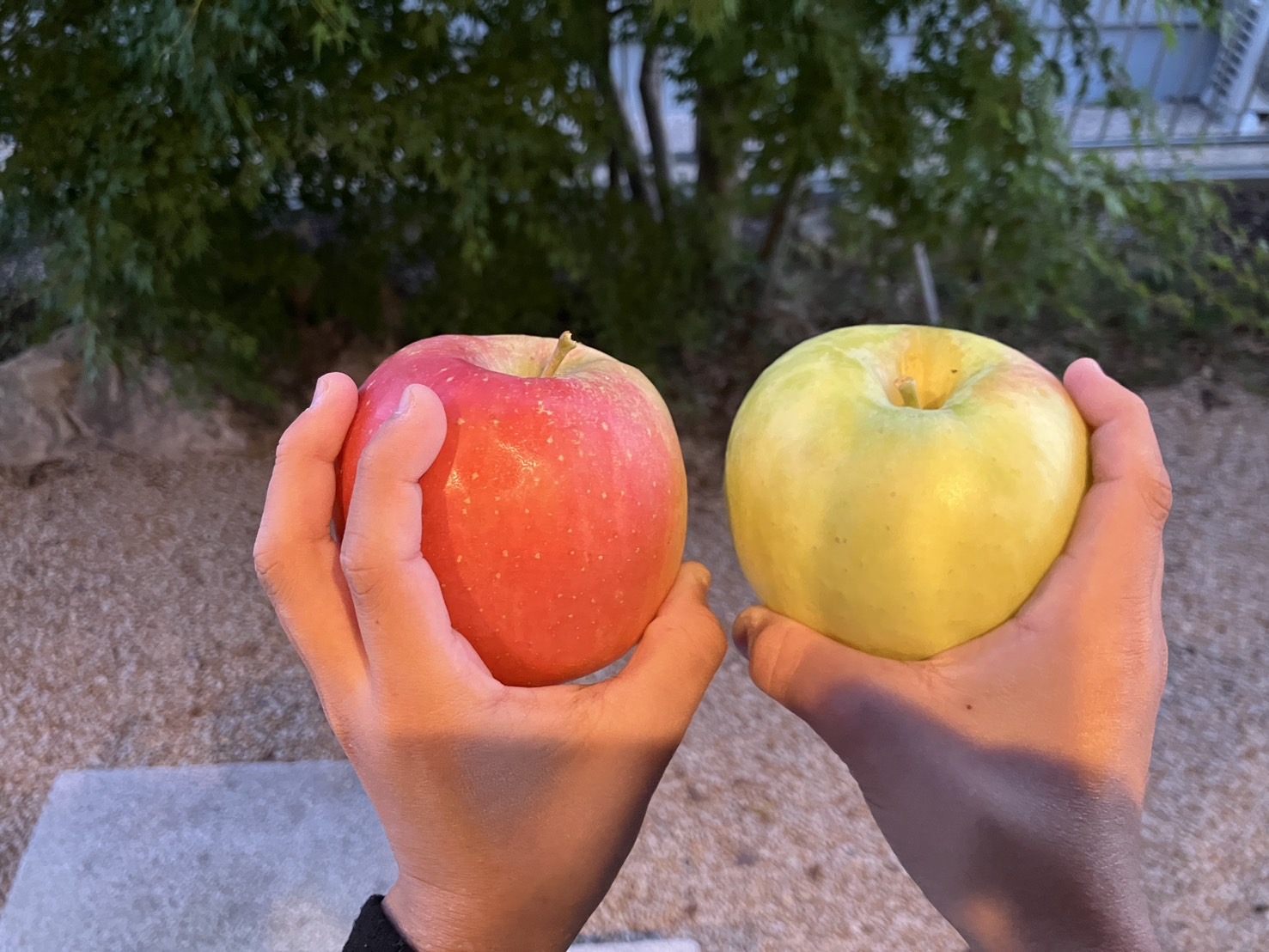 【山口・宇部】行楽の秋