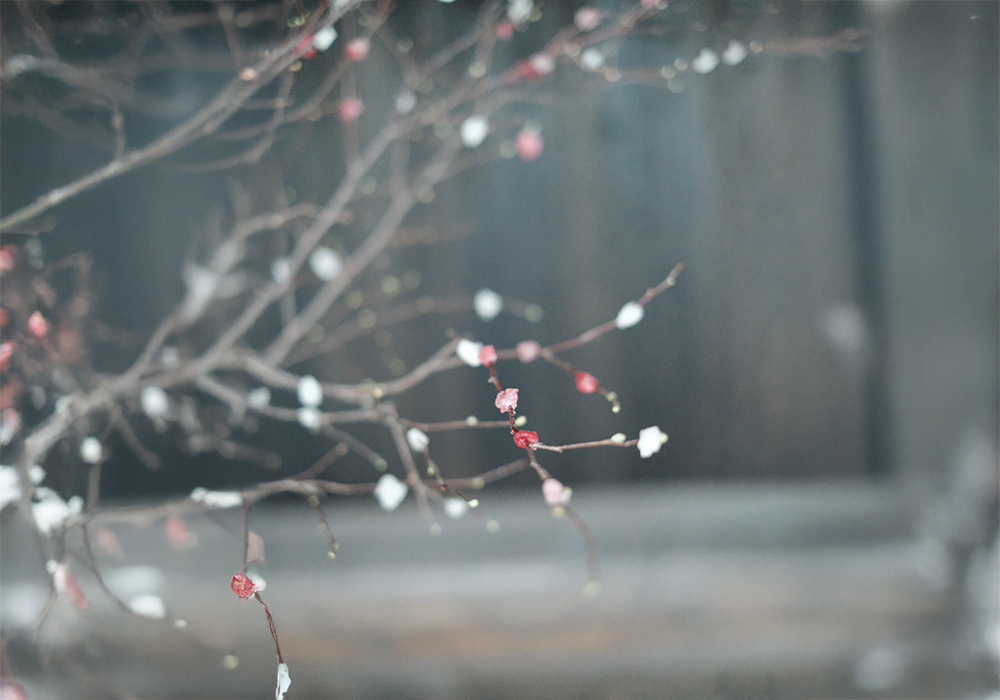 画像に alt 属性が指定されていません。ファイル名: --1.jpg