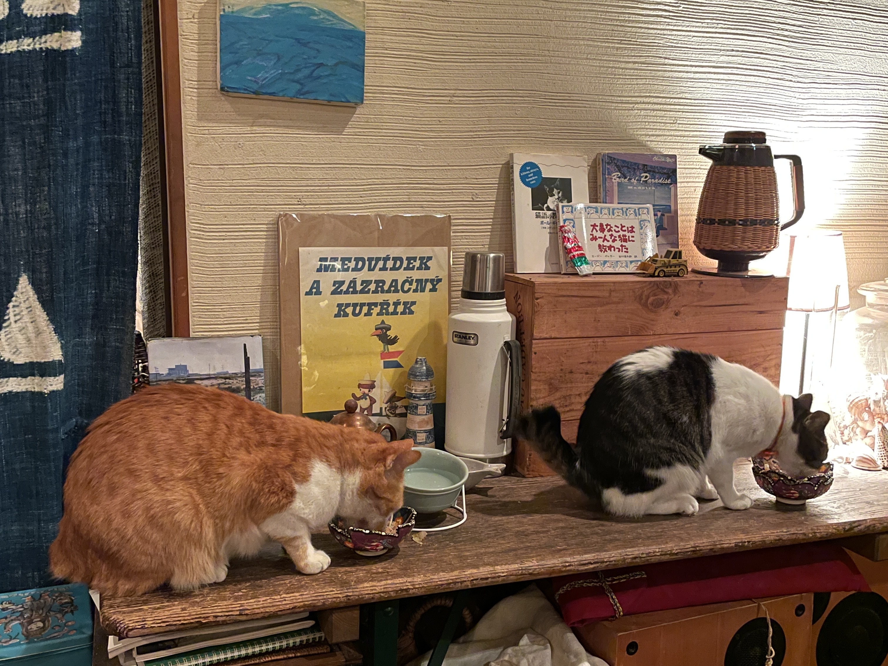 【下関】おすすめのおみせ