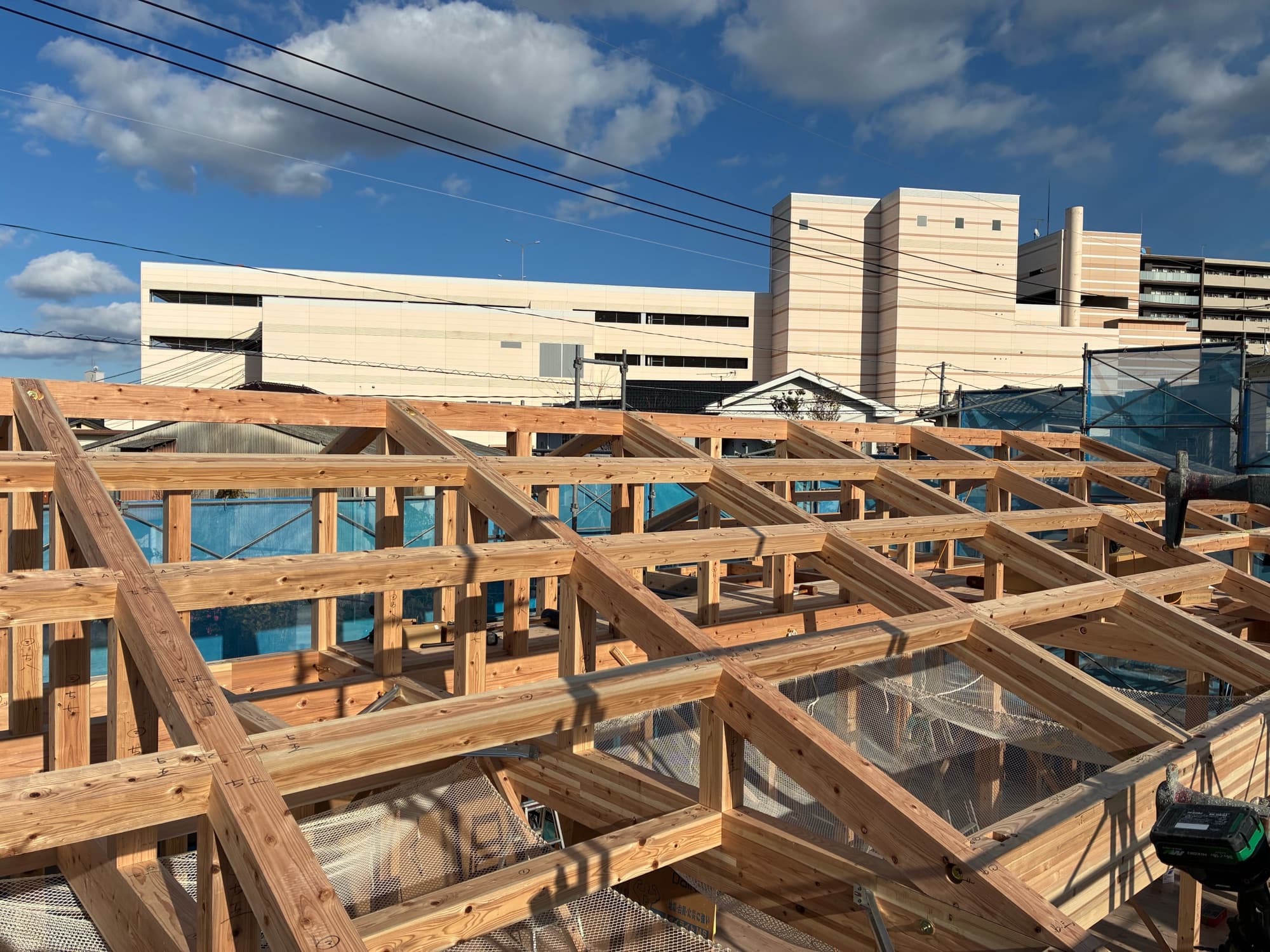 ギャラリー画像