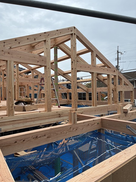 ギャラリー画像