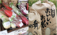 野菜市