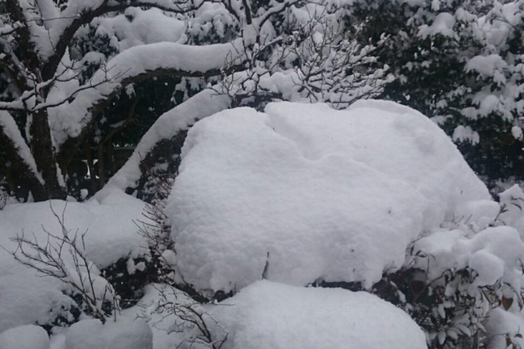 【福岡】初雪