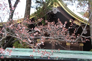 【北九州】宮地嶽神社へ参拝