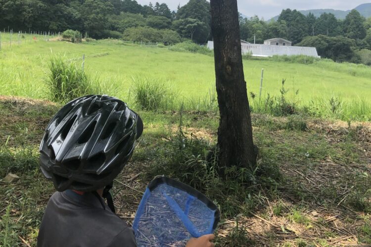 【北九州】我が家のペット