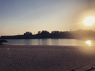 【山口】きらら浜自然観察公園