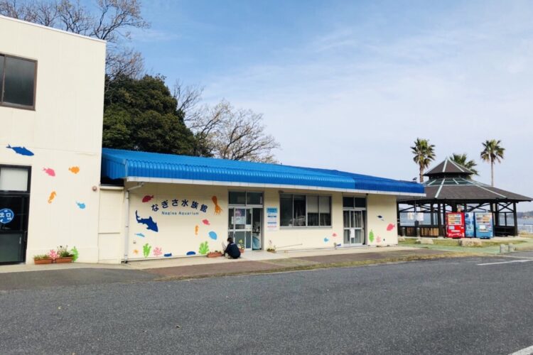 【周南】周防大島町「なぎさ水族館」