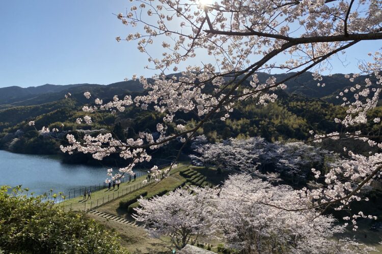 【北九州】最近の休日