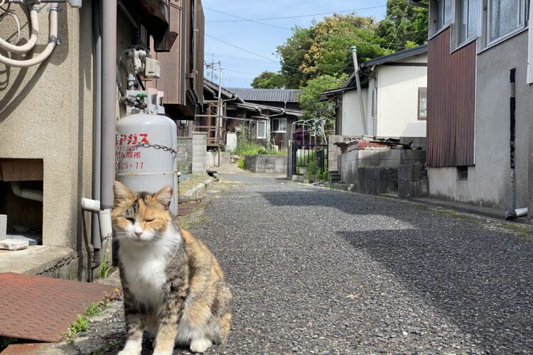 土地散歩【宇部市東須恵】