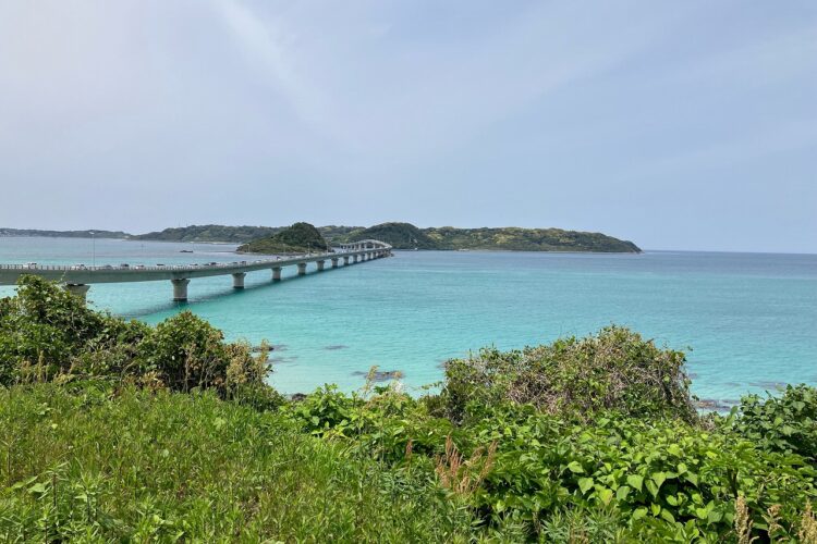 【宇部】久しぶりの角島大橋