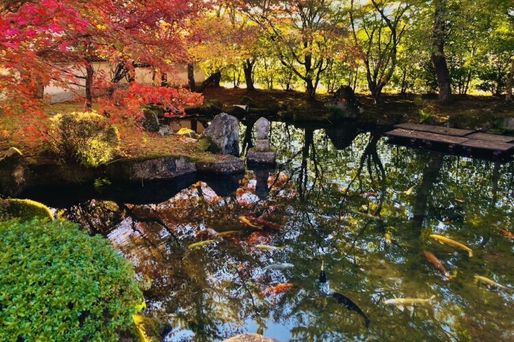 【設計センター】漢陽寺の紅葉