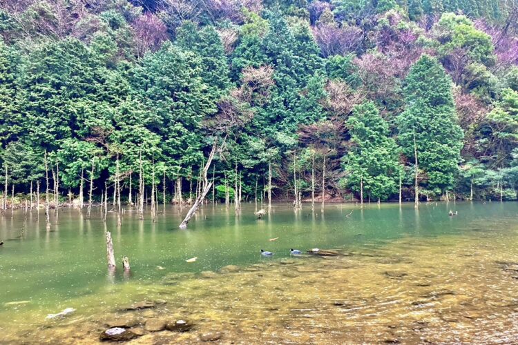 【設計センター】一の俣桜公園