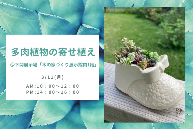 多肉植物の寄せ植え～一緒に多肉植物を楽しみませんか？～